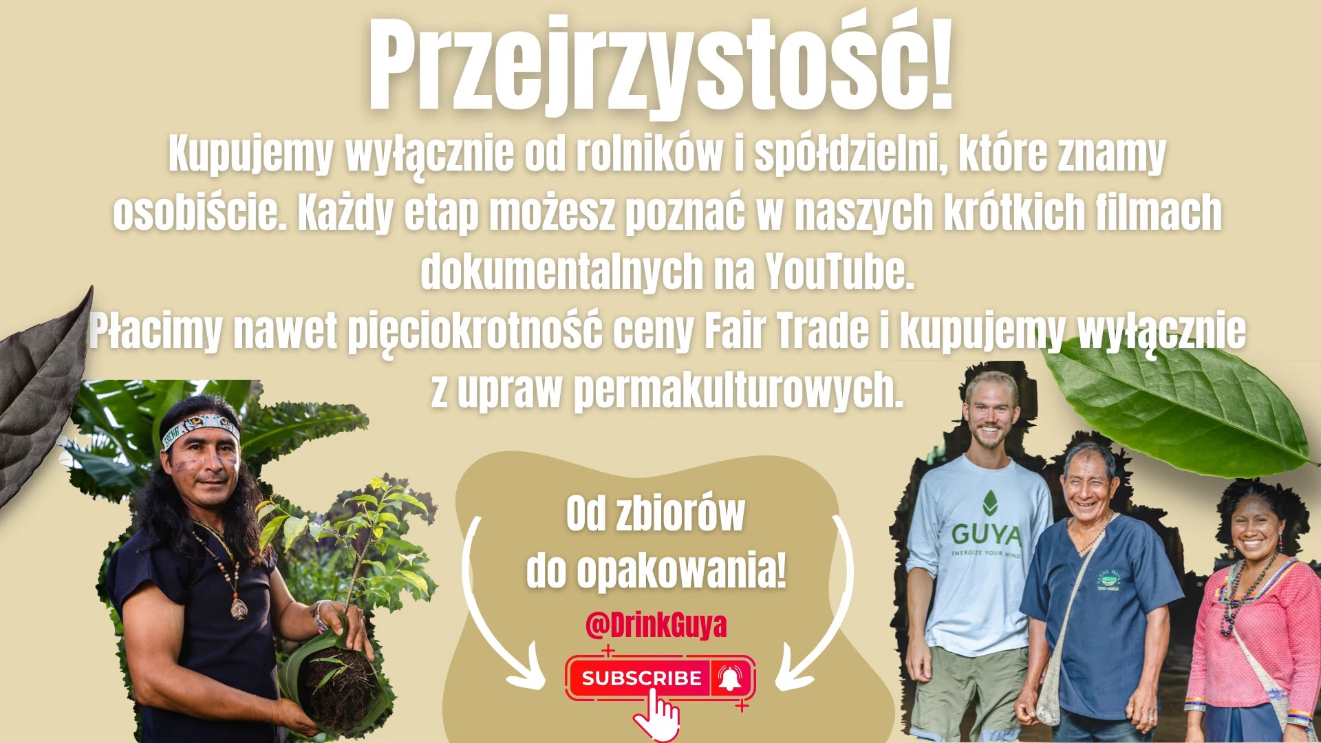 Przejrzystość GUYA: nasi partnerzy, uprawa permakulturowa i droga od zbiorów do opakowania.