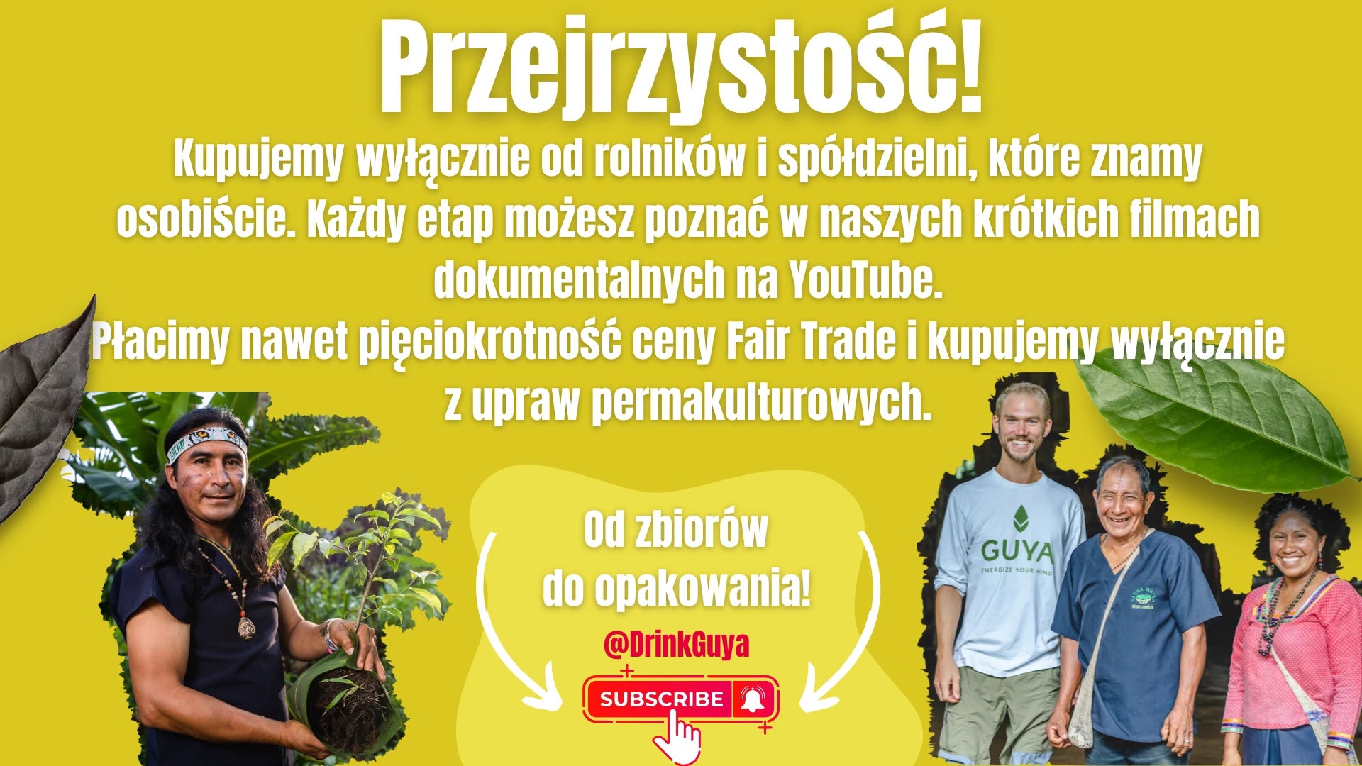 Przejrzystość GUYA: nasi partnerzy, uprawa permakulturowa i droga od zbiorów do opakowania.