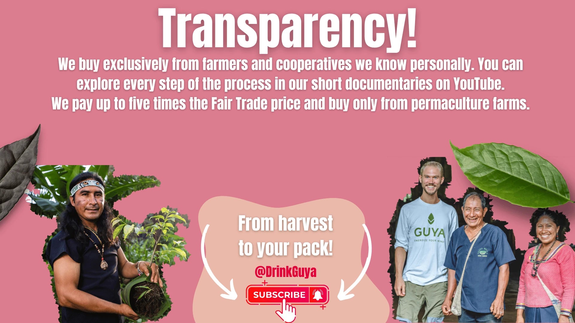 GUYA transparency: Our farming partners, permaculture and the journey from harvest to your pack.
