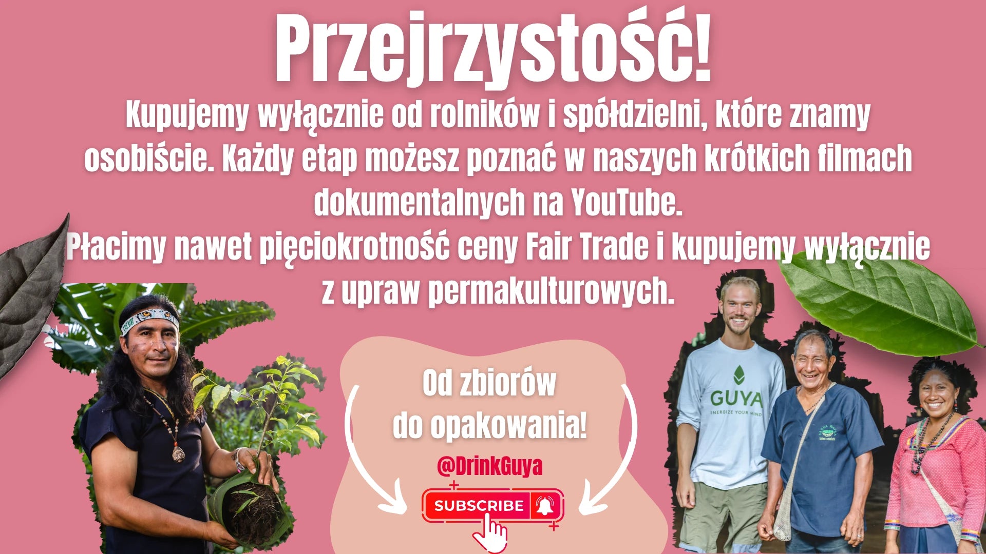 Przejrzystość GUYA: nasi partnerzy, uprawa permakulturowa i droga od zbiorów do opakowania.