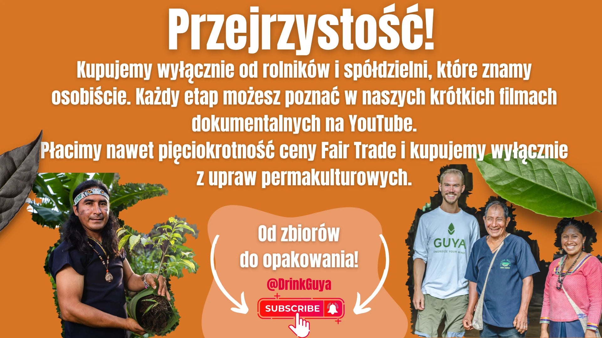 Przejrzystość GUYA: nasi partnerzy, uprawa permakulturowa i droga od zbiorów do opakowania.