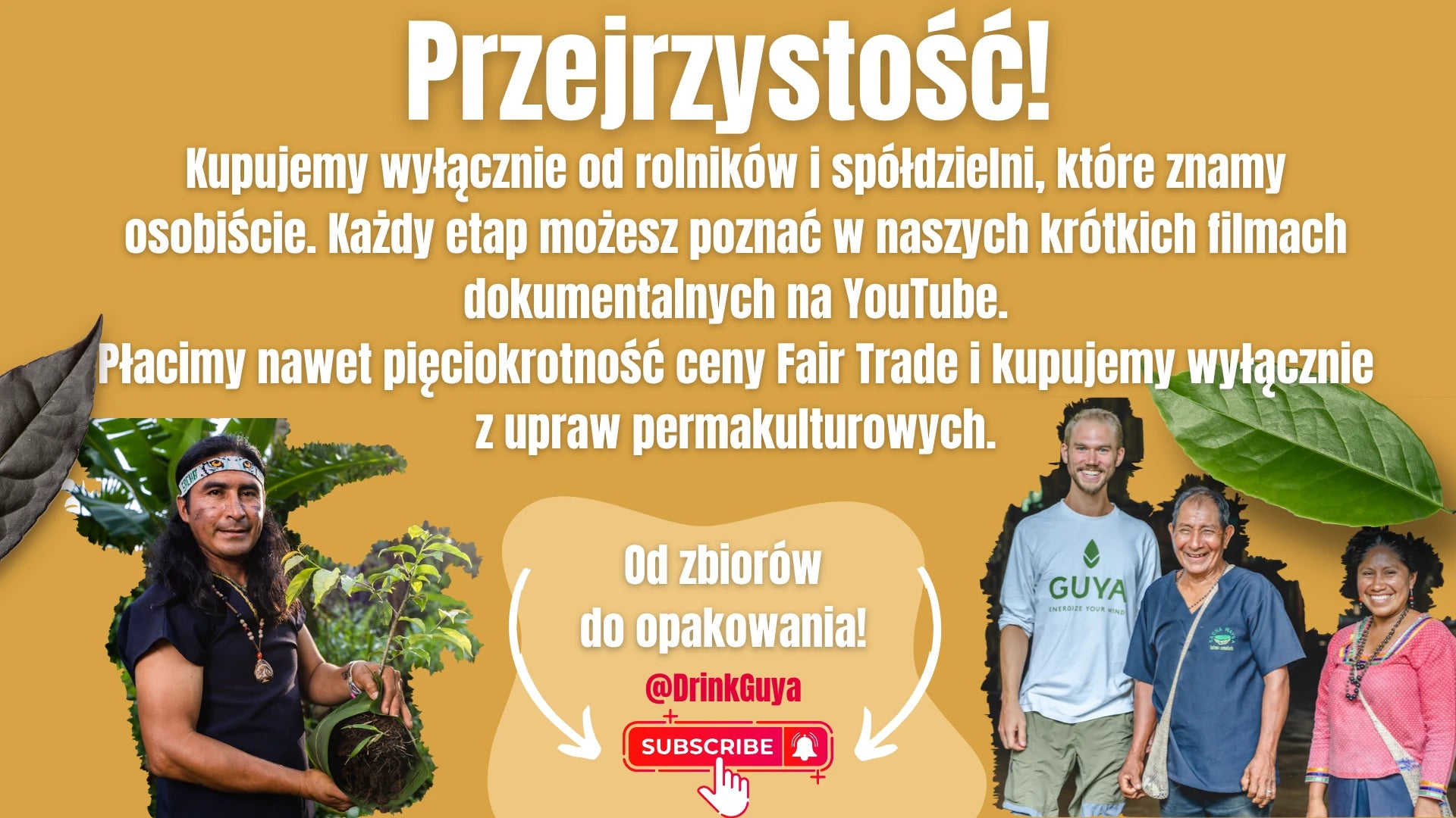 Przejrzystość GUYA: nasi partnerzy, uprawa permakulturowa i droga od zbiorów do opakowania.