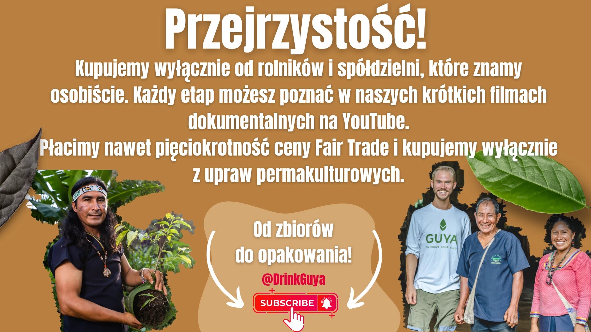 Przejrzystość GUYA: nasi partnerzy, uprawa permakulturowa i droga od zbiorów do opakowania.