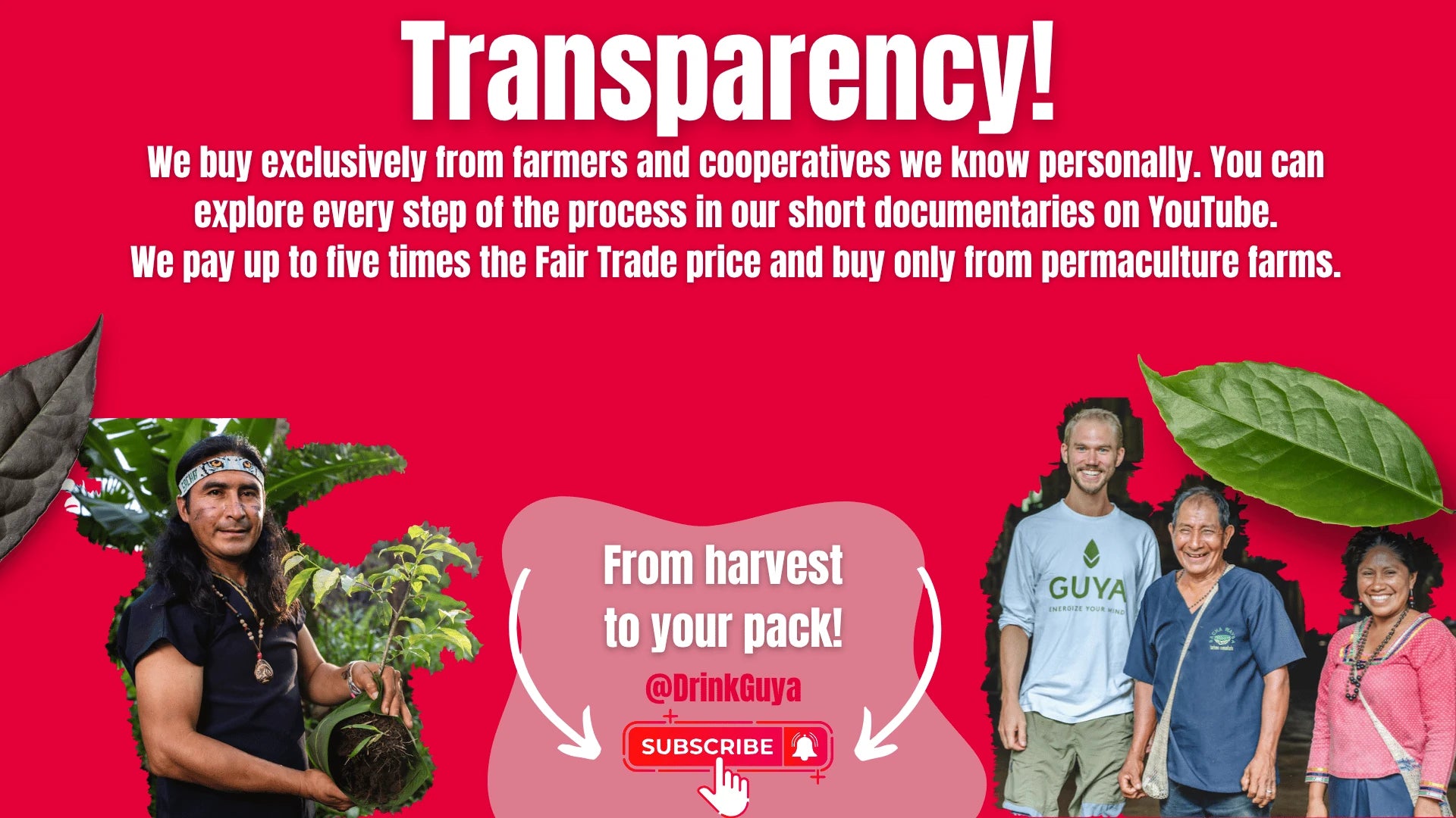 GUYA transparency: Our farming partners, permaculture and the journey from harvest to your pack.