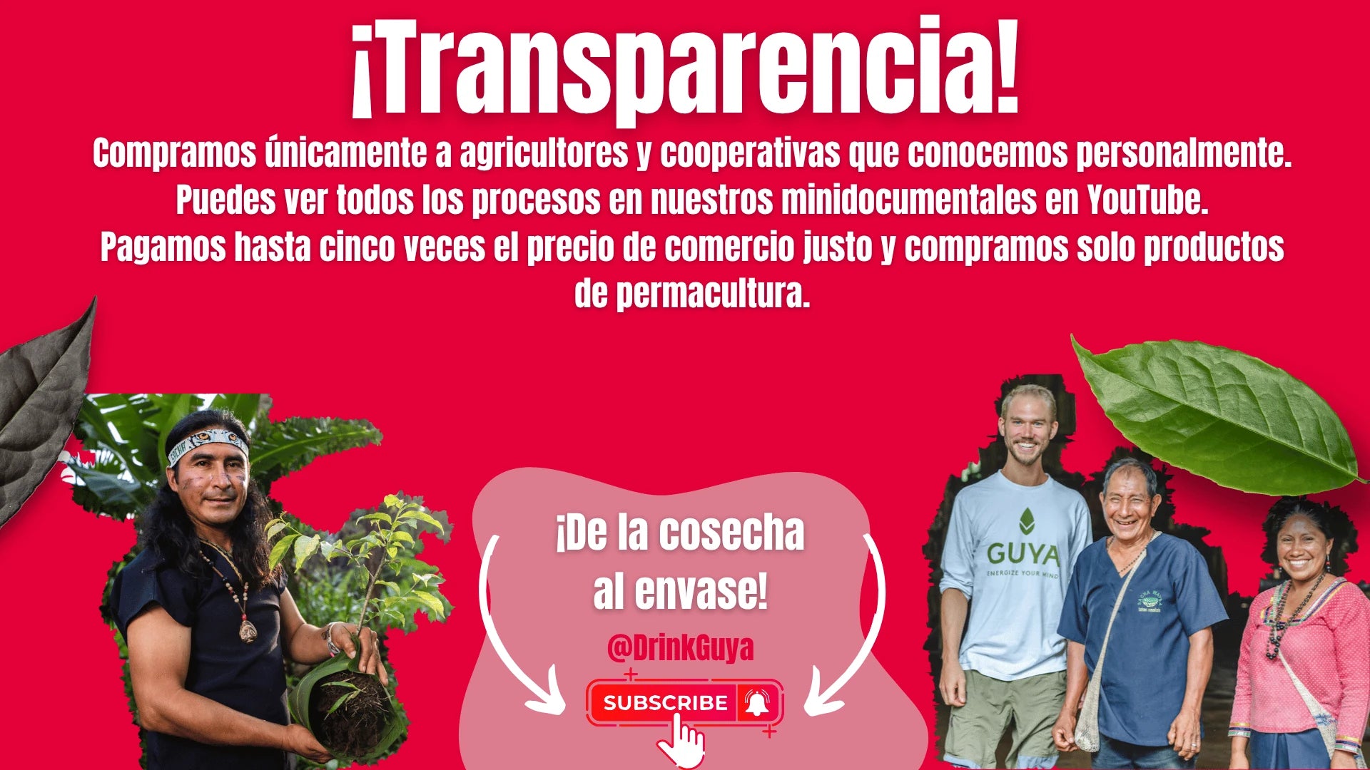 Transparencia GUYA: Nuestros agricultores, la permacultura y el camino de la cosecha al envase.