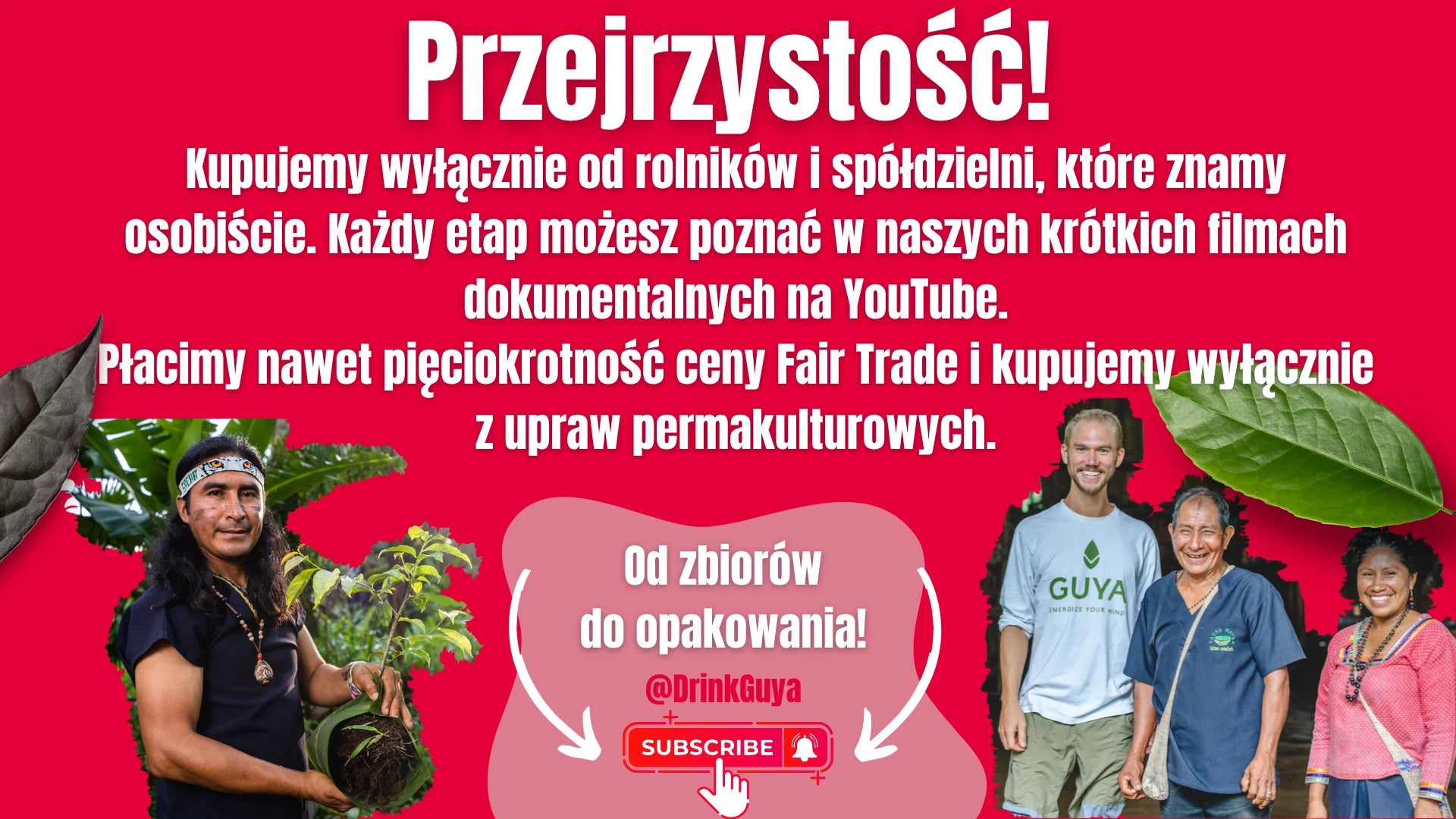 Przejrzystość GUYA: nasi partnerzy, uprawa permakulturowa i droga od zbiorów do opakowania.
