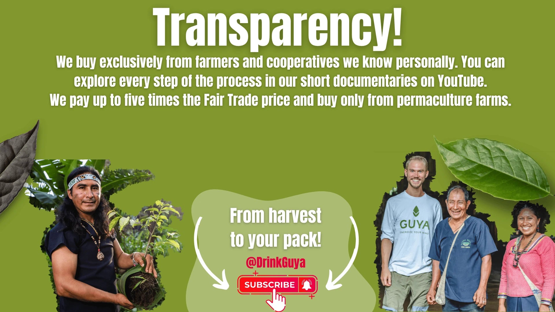 GUYA transparency: Our farming partners, permaculture and the journey from harvest to your pack.