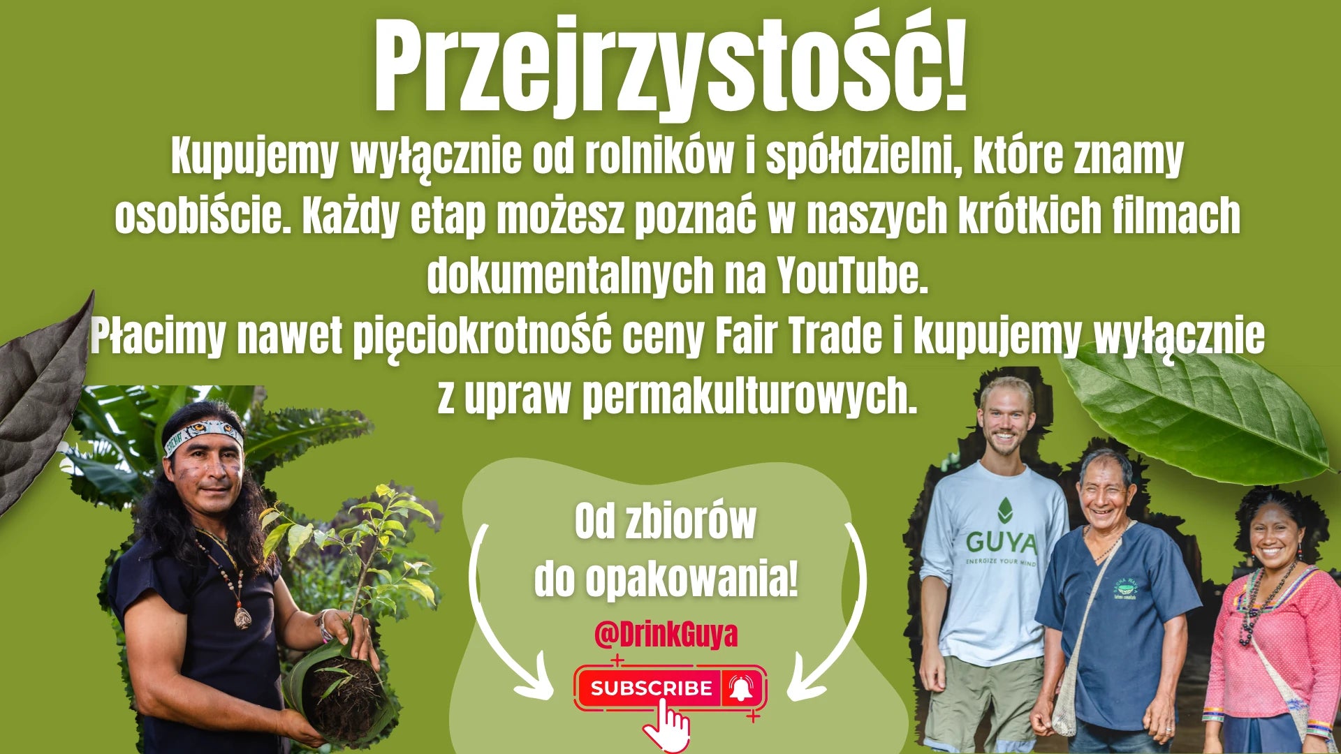 Przejrzystość GUYA: nasi partnerzy, uprawa permakulturowa i droga od zbiorów do opakowania.