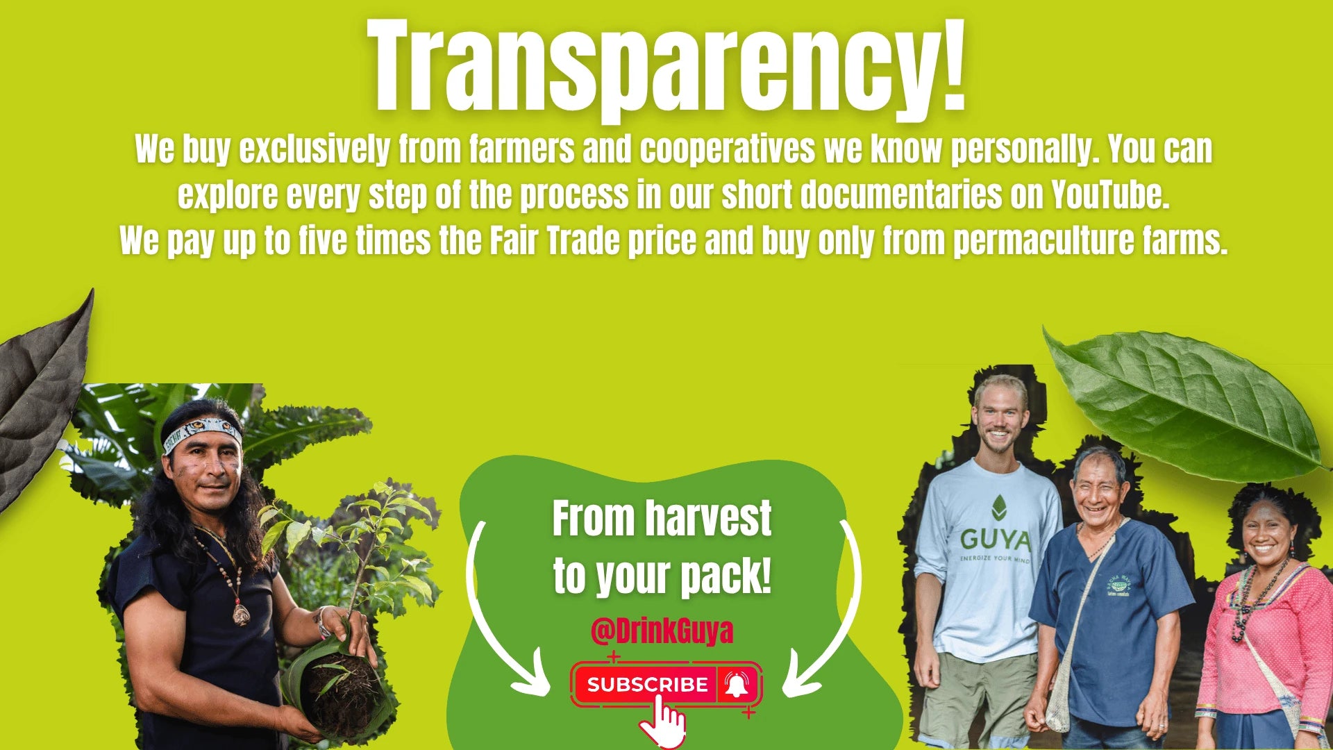 GUYA transparency: Our farming partners, permaculture and the journey from harvest to your pack.