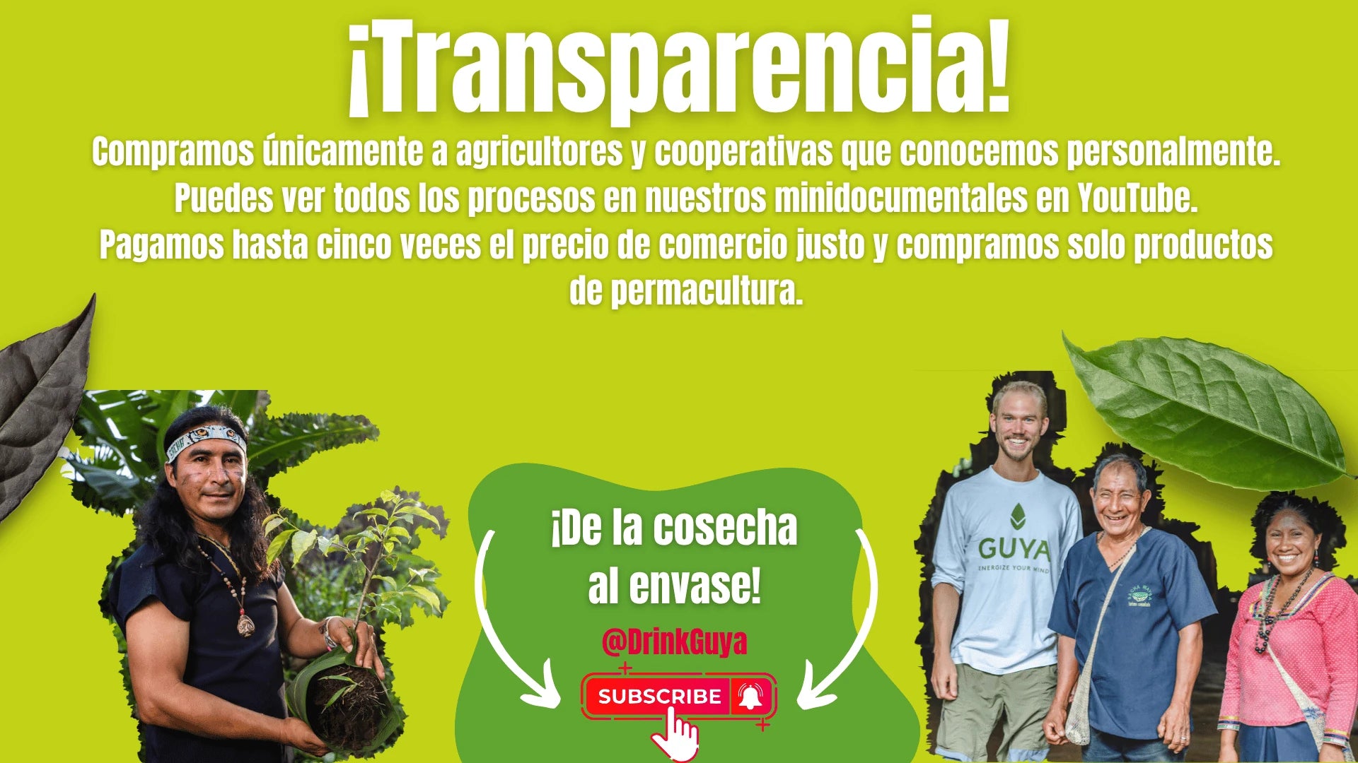 Transparencia GUYA: Nuestros agricultores, la permacultura y el camino de la cosecha al envase.