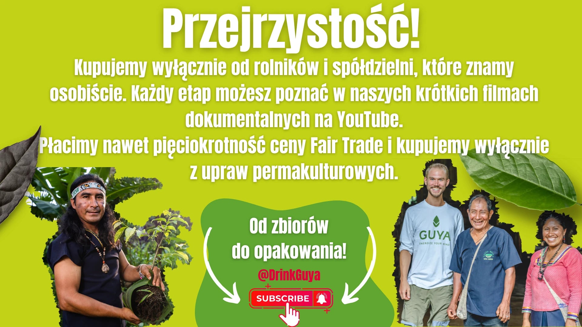 Przejrzystość GUYA: nasi partnerzy, uprawa permakulturowa i droga od zbiorów do opakowania.