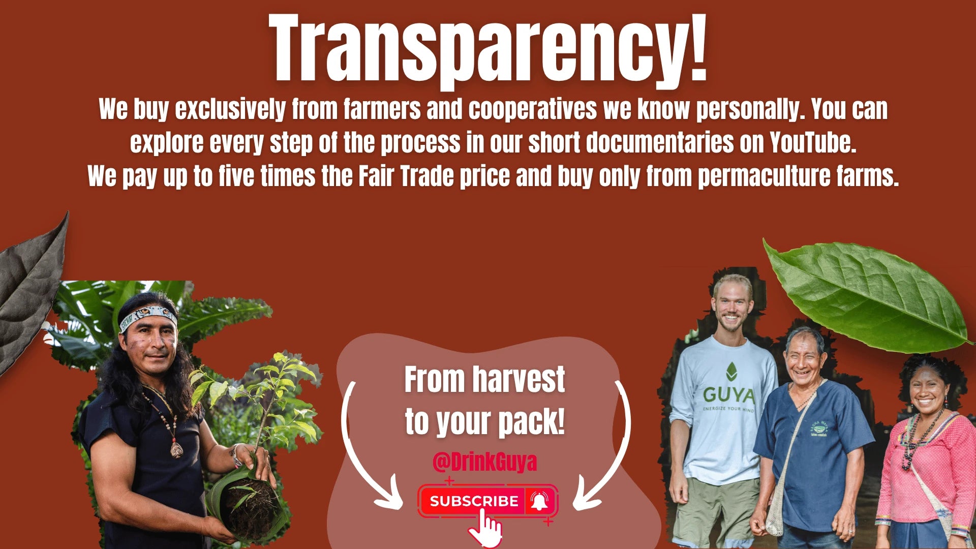 GUYA transparency: Our farming partners, permaculture and the journey from harvest to your pack.