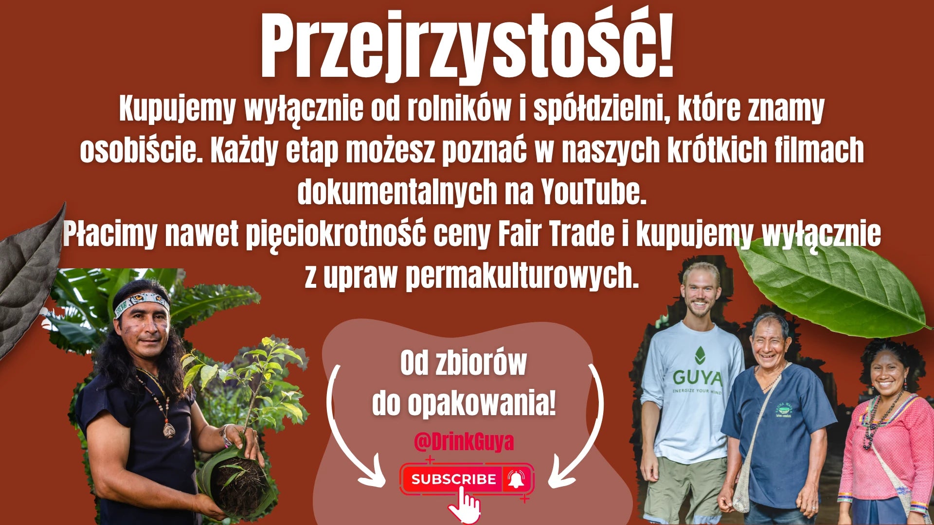 Przejrzystość GUYA: nasi partnerzy, uprawa permakulturowa i droga od zbiorów do opakowania.