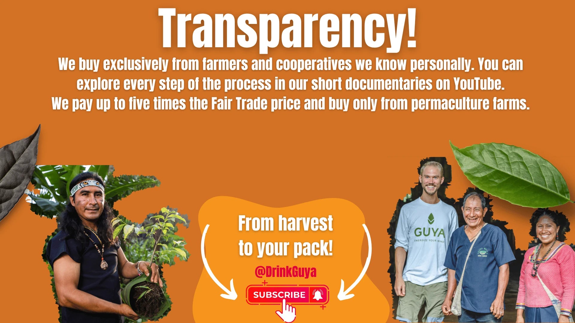 GUYA transparency: Our farming partners, permaculture and the journey from harvest to your pack.