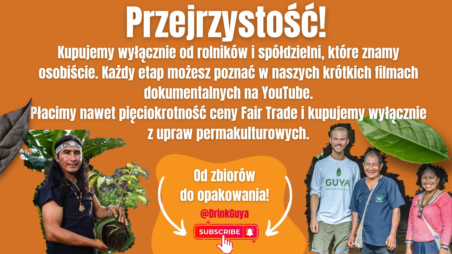 Przejrzystość GUYA: nasi partnerzy, uprawa permakulturowa i droga od zbiorów do opakowania.
