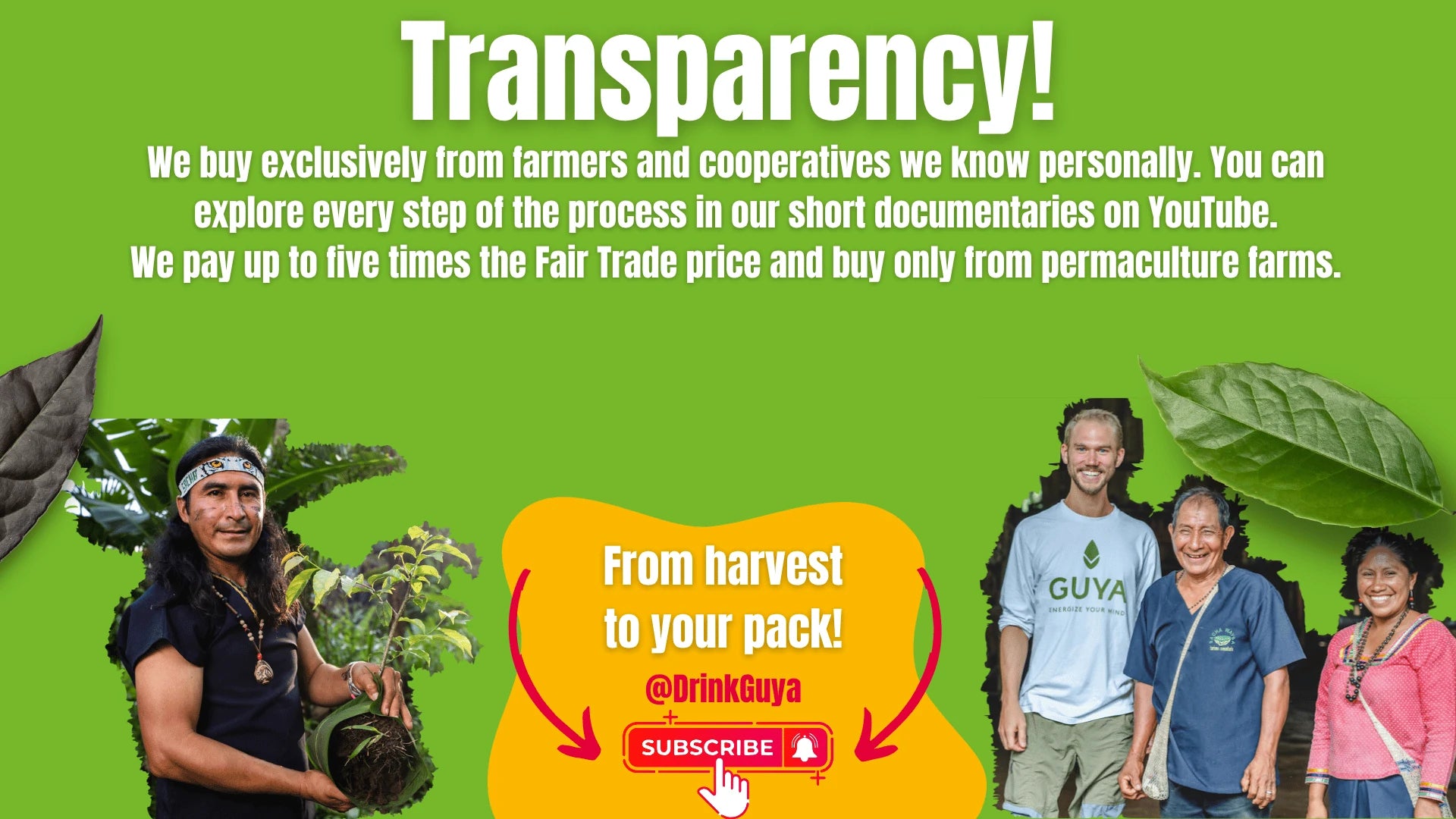 GUYA transparency: Our farming partners, permaculture and the journey from harvest to your pack.