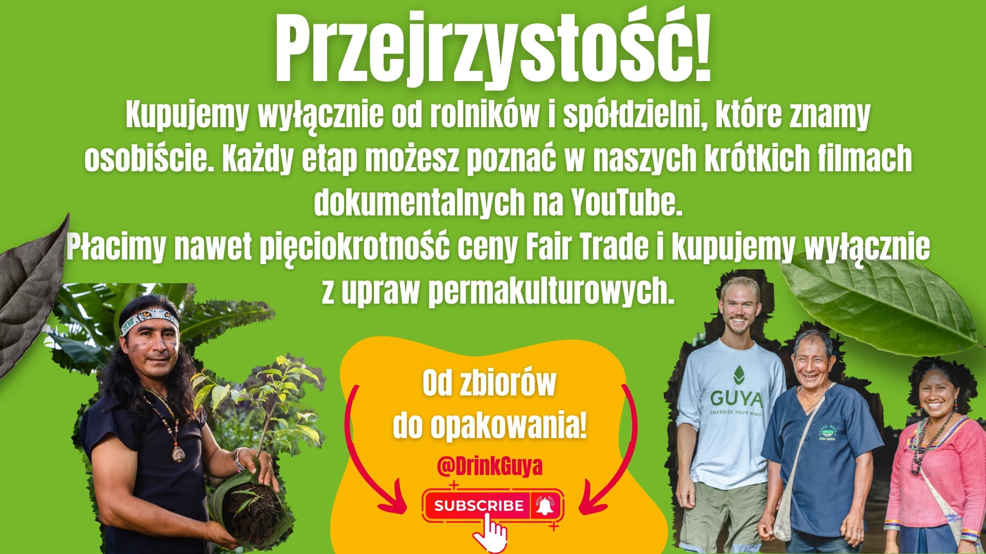 Przejrzystość GUYA: nasi partnerzy, uprawa permakulturowa i droga od zbiorów do opakowania.