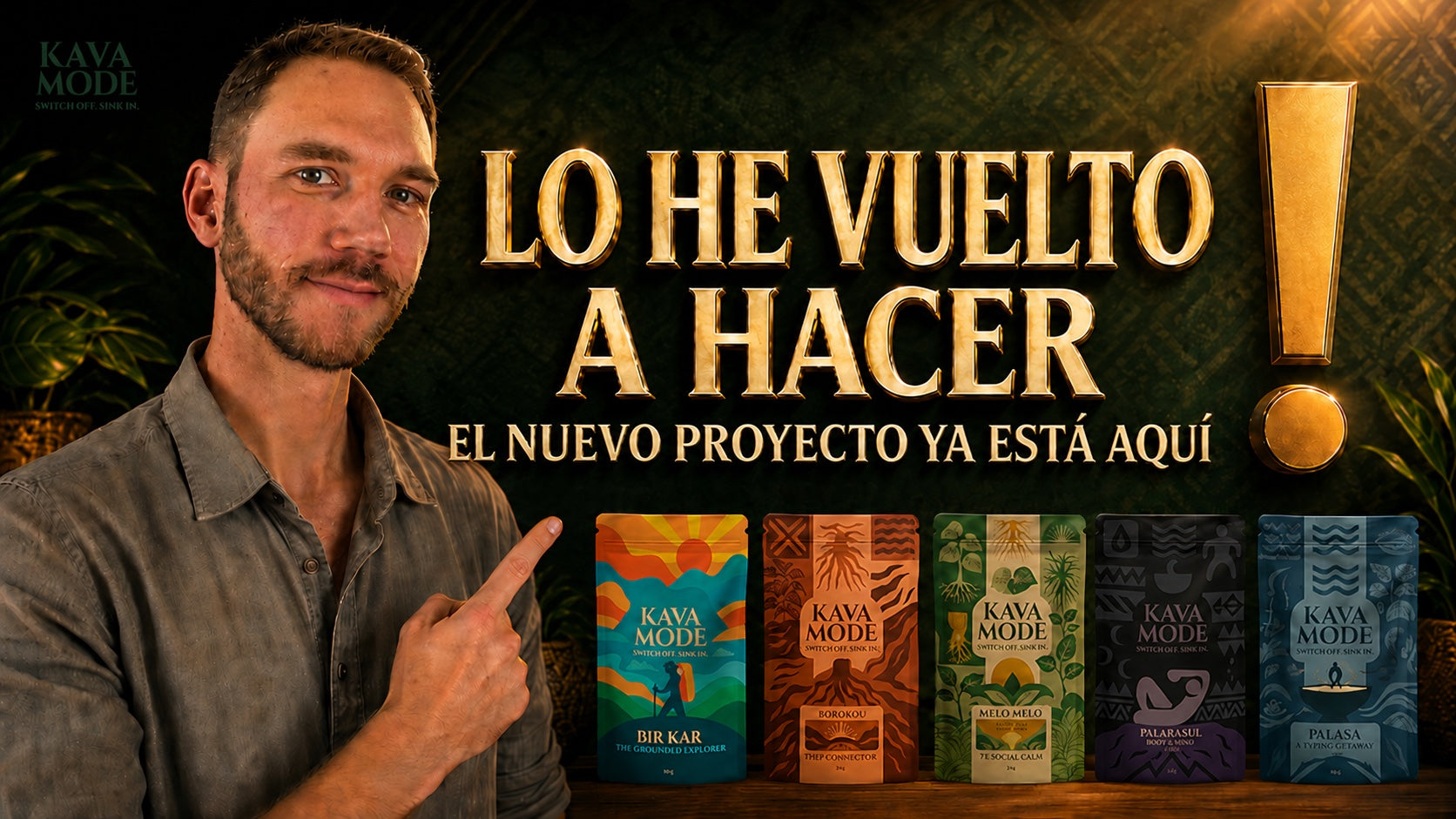 ¿Qué es el kava? Efectos, preparación, variedades y usos: tu nuevo ritual nocturno