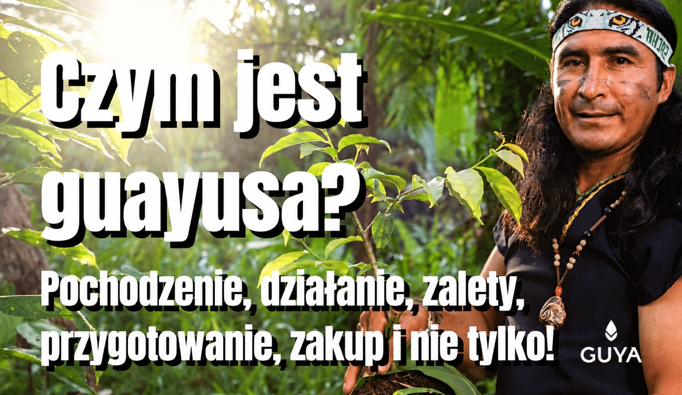 Czym jest guayusa? Działanie, zalety, przygotowanie i zakup