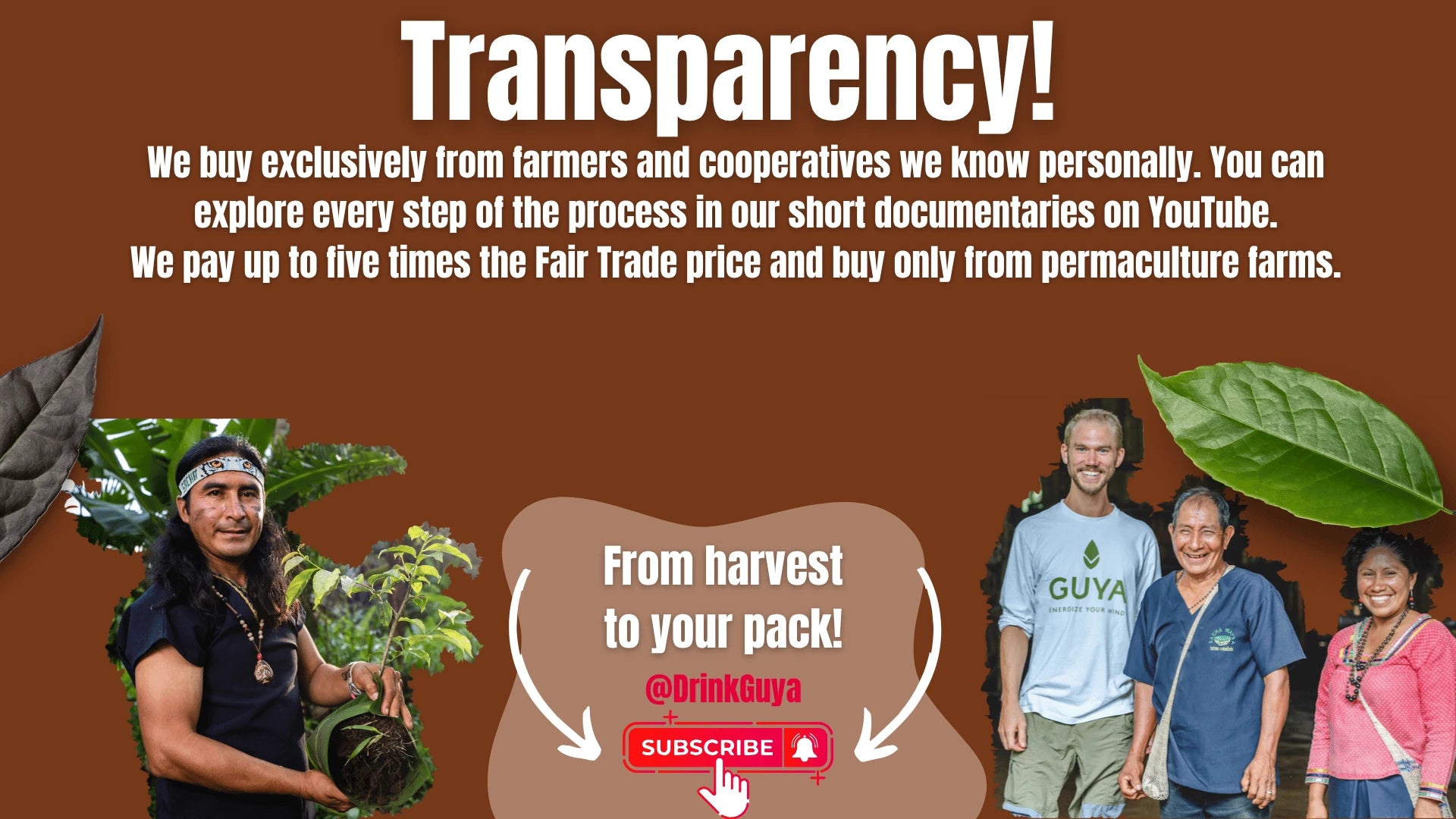 GUYA transparency: Our farming partners, permaculture and the journey from harvest to your pack.
