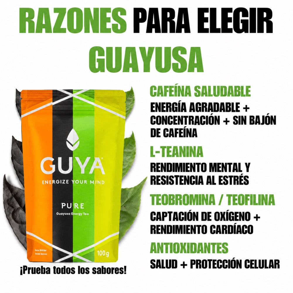 Razones para elegir guayusa: cafeína, L-teanina, teobromina, teofilina y antioxidantes.
