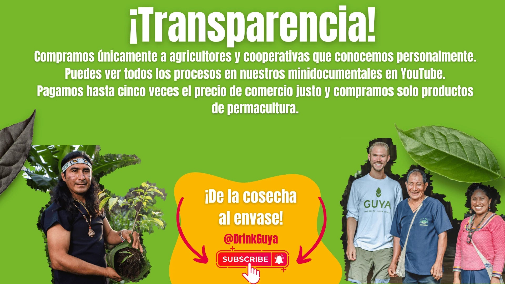 Transparencia GUYA: Nuestros agricultores, la permacultura y el camino de la cosecha al envase.