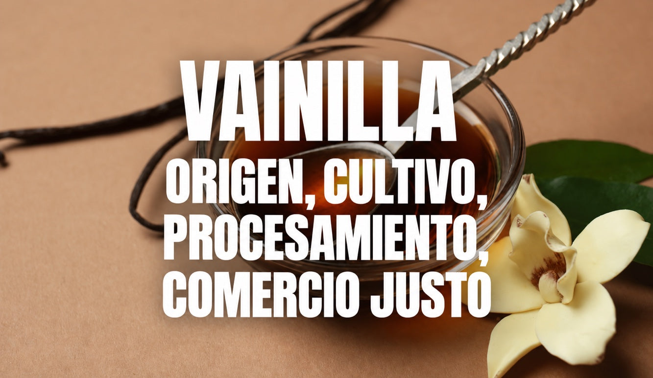 Vainilla amazónica: historia, origen, cultivo y procesamiento
