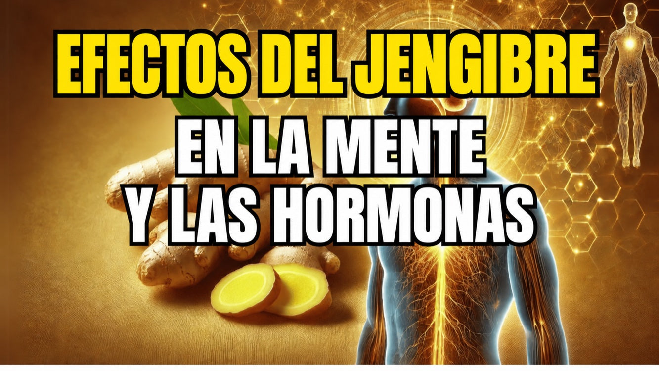 Efectos del jengibre sobre el ánimo y las hormonas: un potenciador natural del estado de ánimo