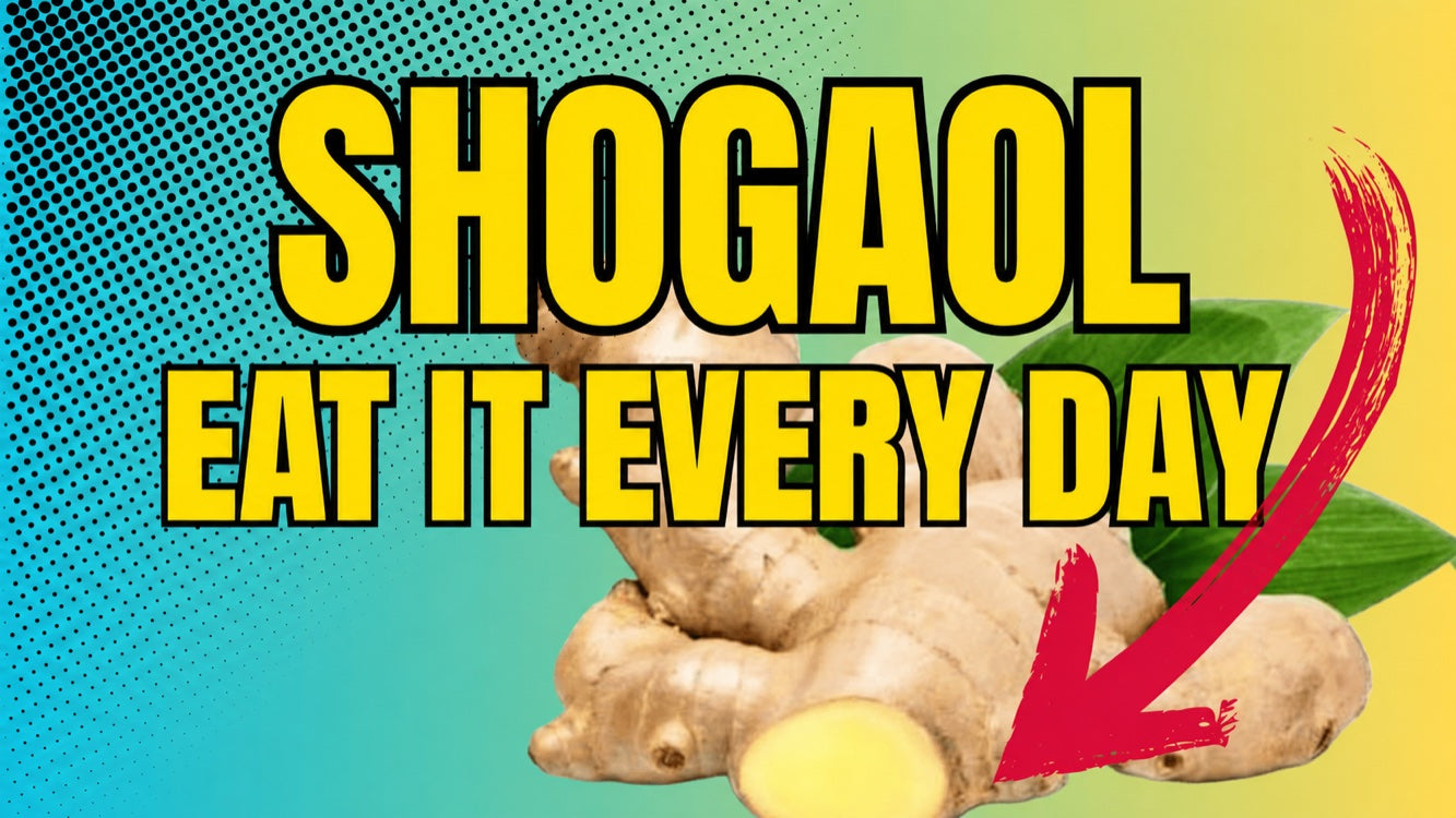Shogaol effects explained: a key compound in ginger