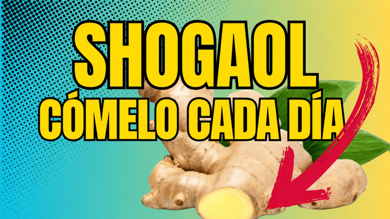 Efectos del shogaol: un compuesto destacado del jengibre