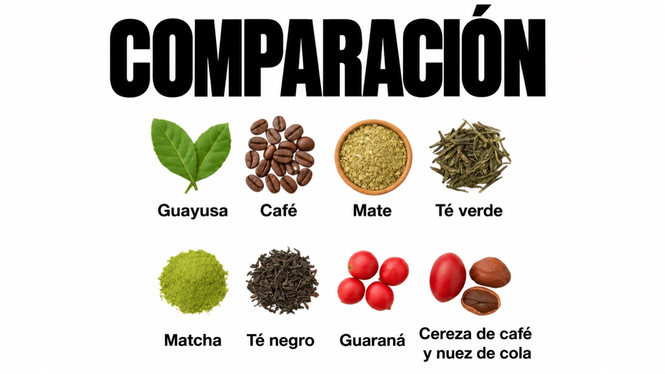 Comparativa del contenido de cafeína: ¿qué fuente natural es la más potente?