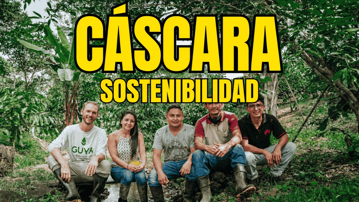 Cereza de café sostenible: cómo la cáscara puede reducir residuos