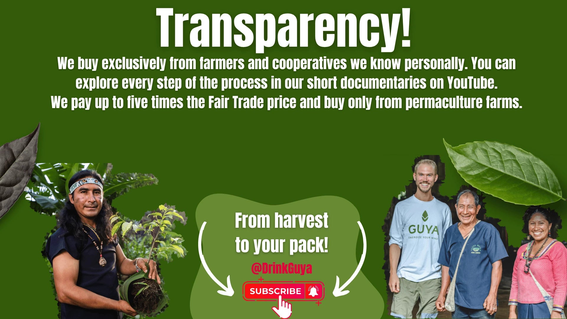 GUYA transparency: Our farming partners, permaculture and the journey from harvest to your pack.