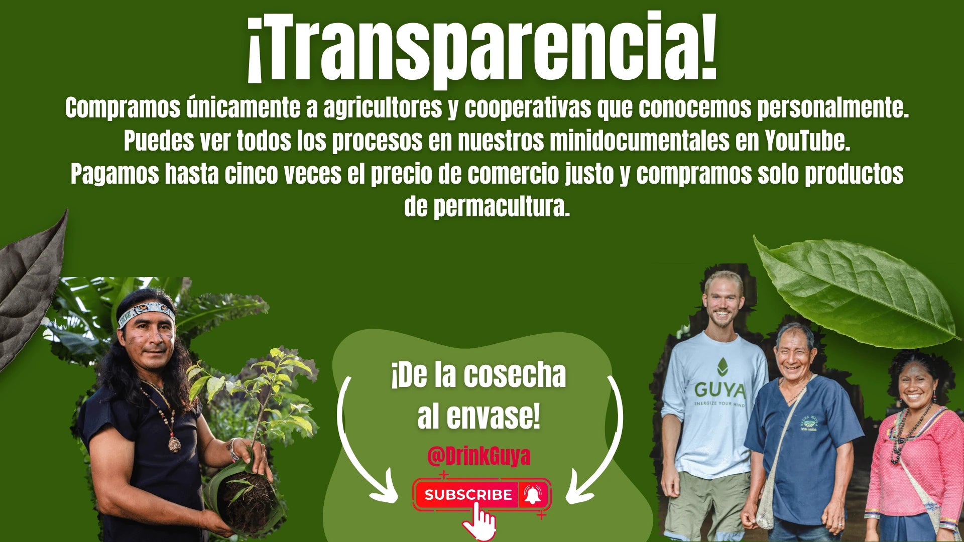Transparencia GUYA: Nuestros agricultores, la permacultura y el camino de la cosecha al envase.