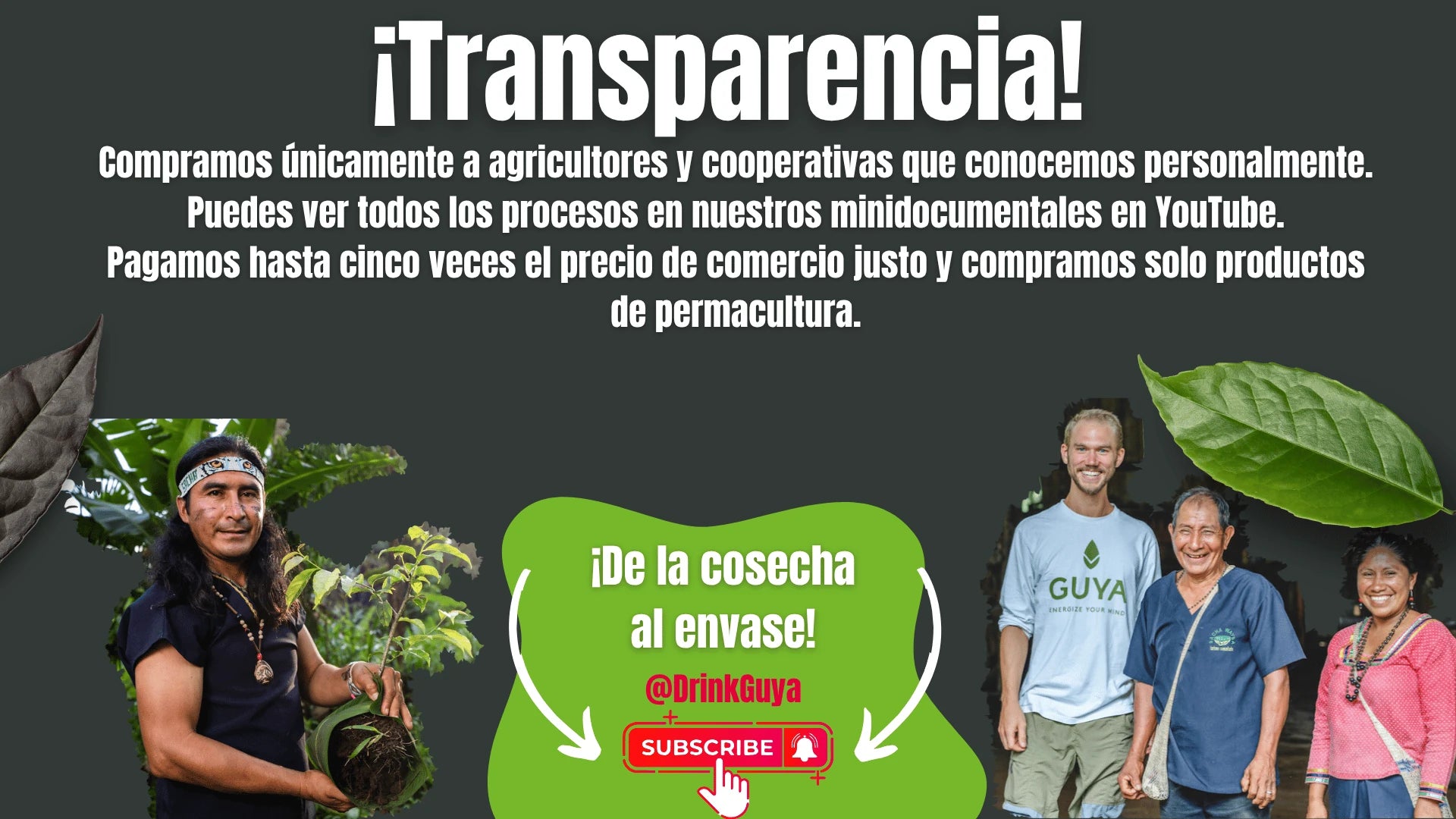 Transparencia GUYA: Nuestros agricultores, la permacultura y el camino de la cosecha al envase.