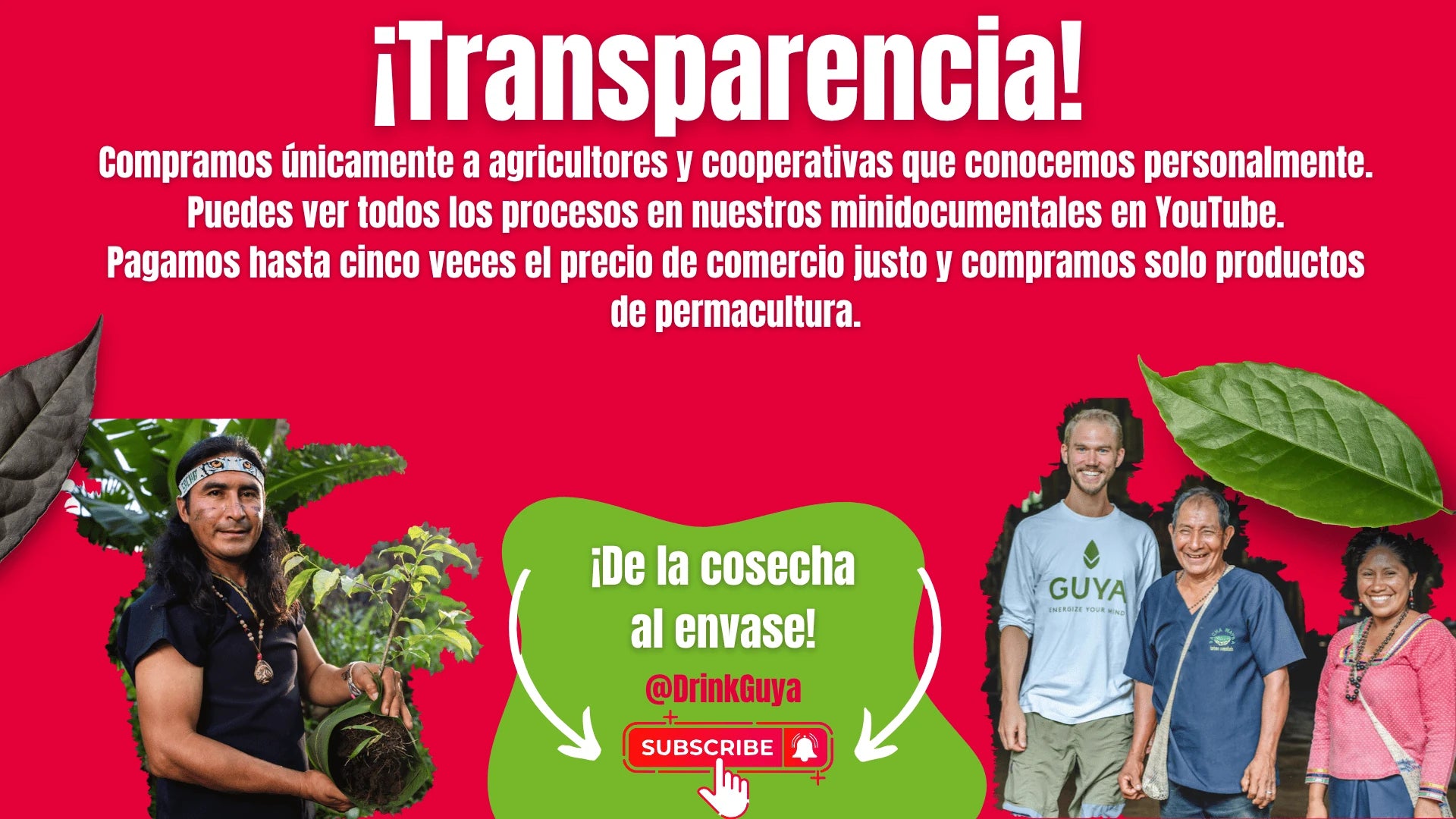 Transparencia GUYA: Nuestros agricultores, la permacultura y el camino de la cosecha al envase.