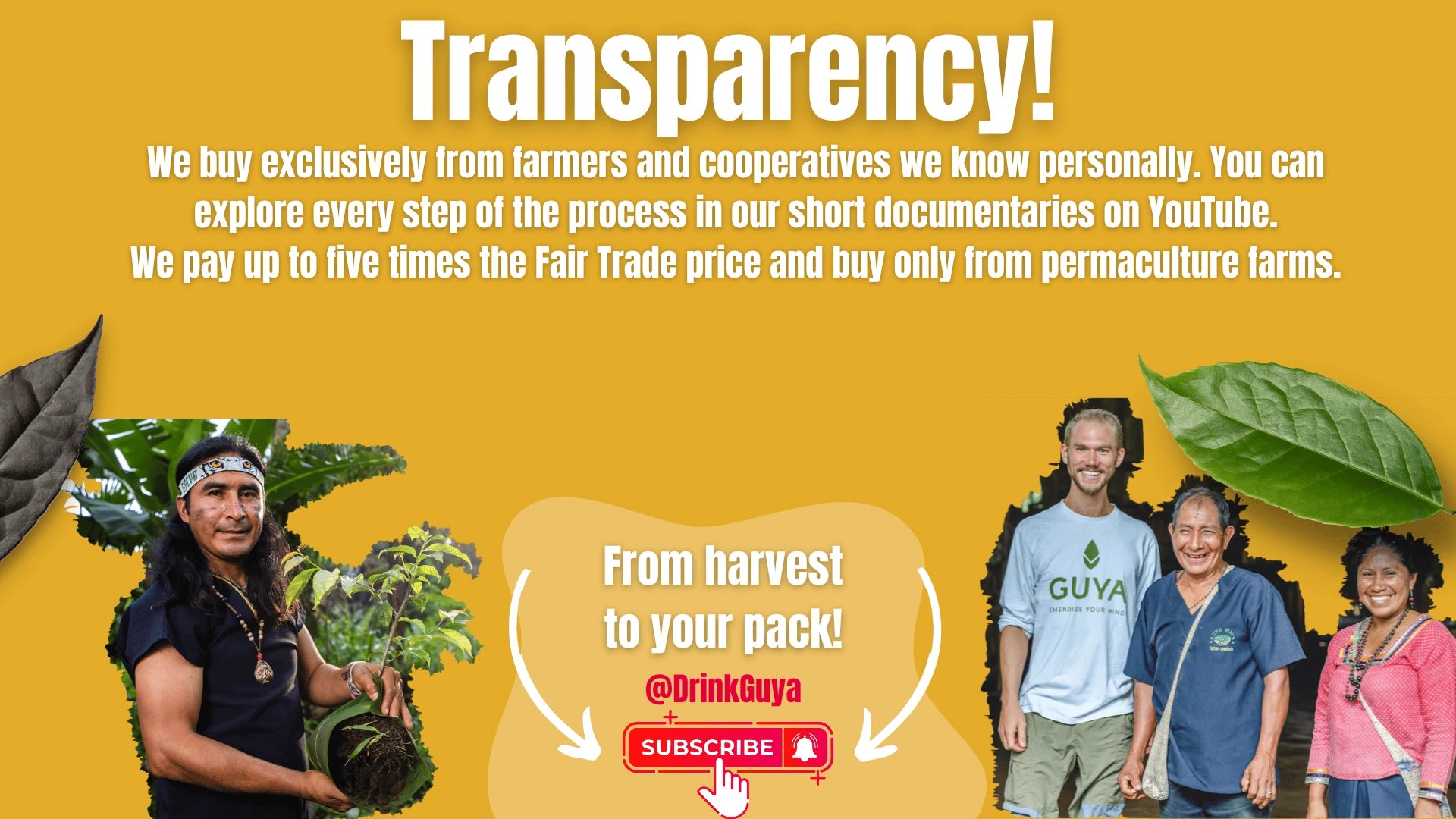 GUYA transparency: Our farming partners, permaculture and the journey from harvest to your pack.