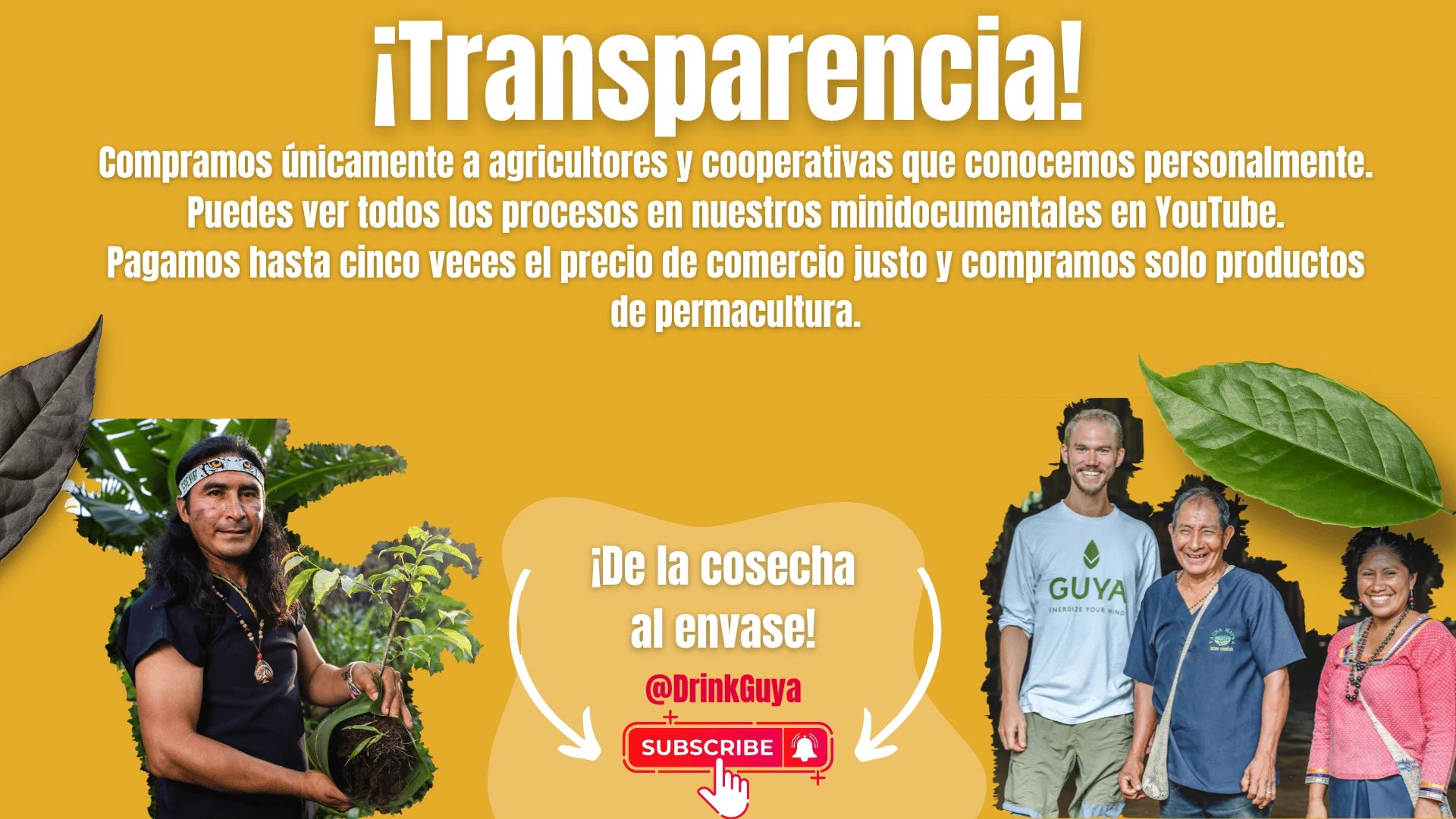 Transparencia GUYA: Nuestros agricultores, la permacultura y el camino de la cosecha al envase.