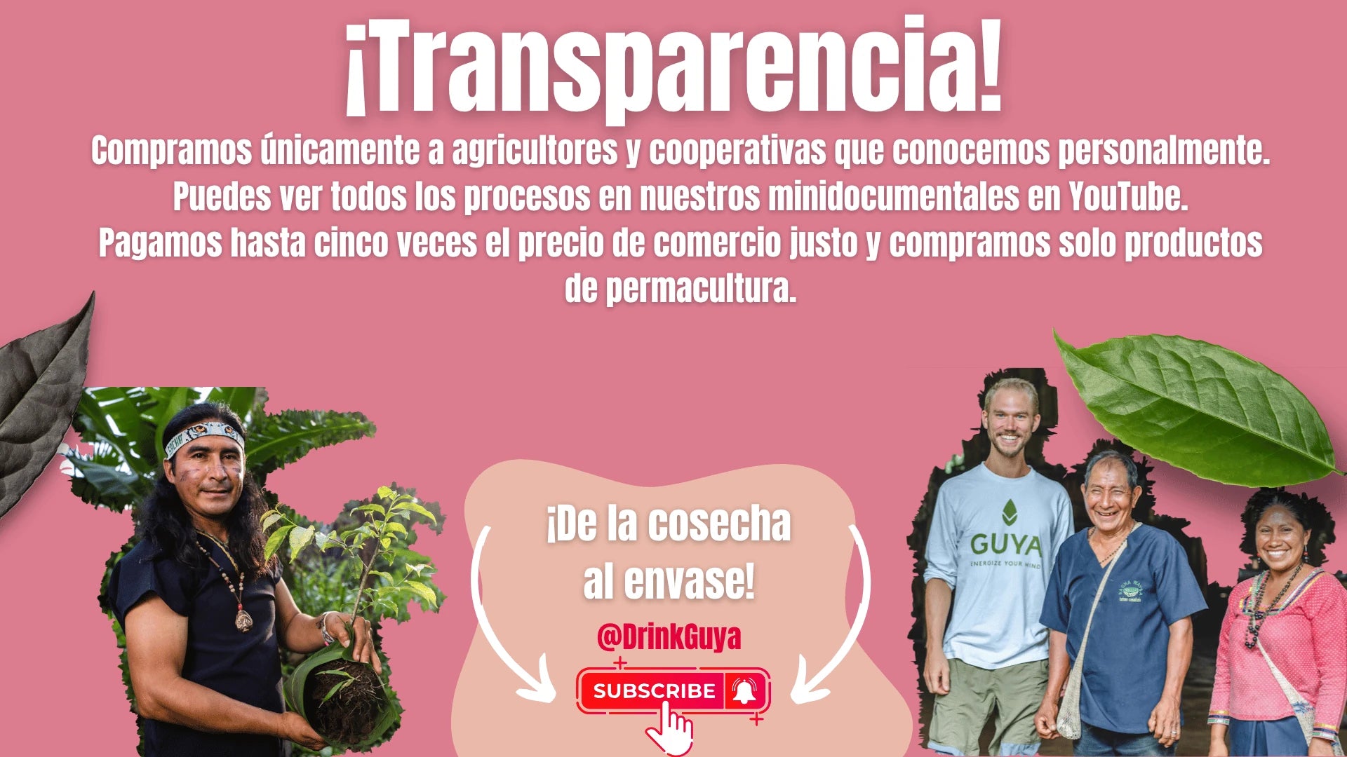 Transparencia GUYA: Nuestros agricultores, la permacultura y el camino de la cosecha al envase.
