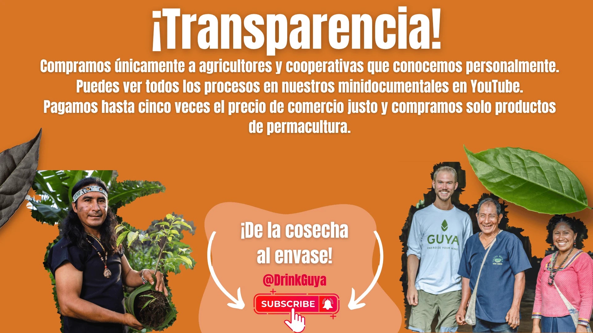 Transparencia GUYA: Nuestros agricultores, la permacultura y el camino de la cosecha al envase.