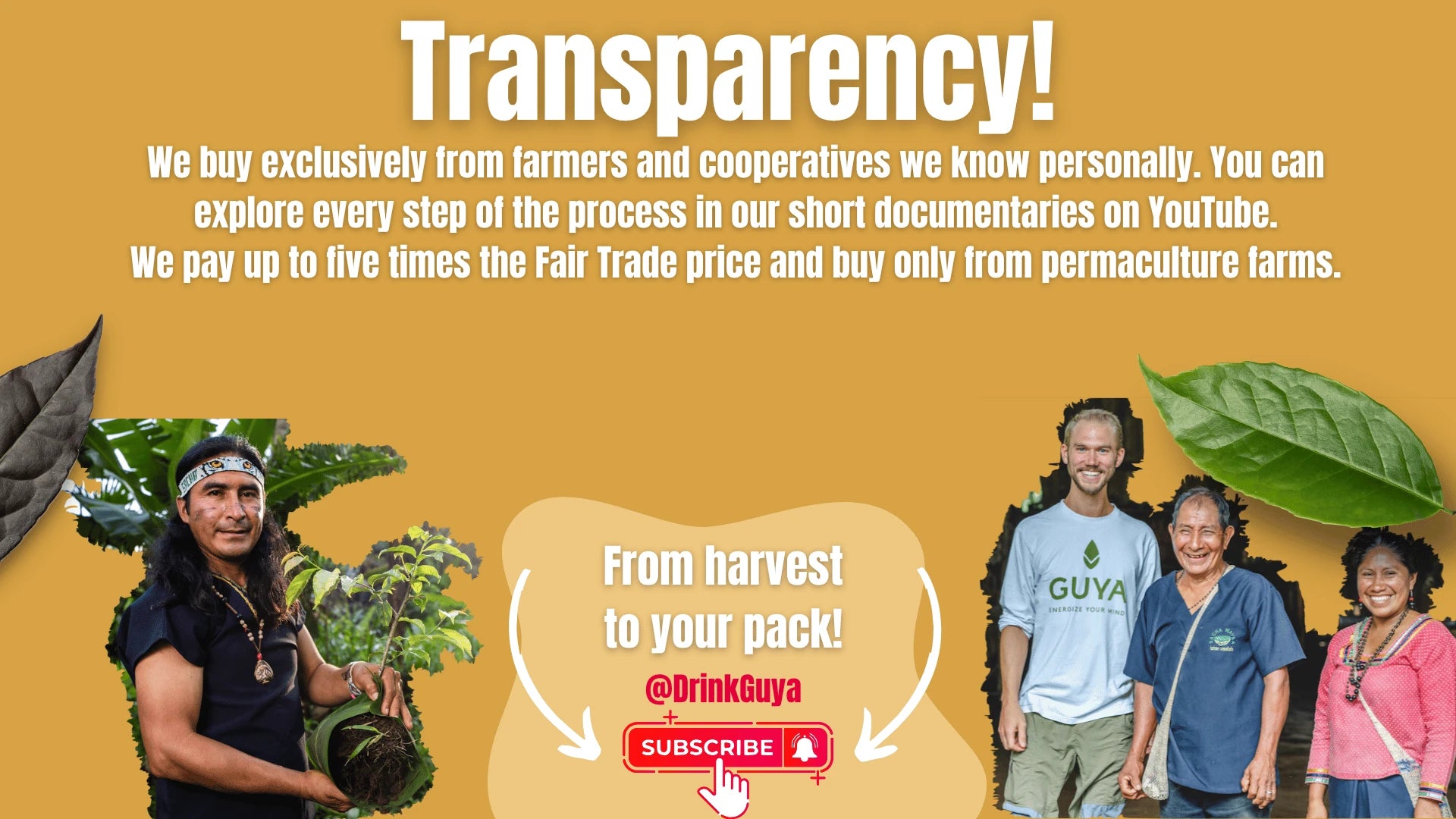 GUYA transparency: Our farming partners, permaculture and the journey from harvest to your pack.