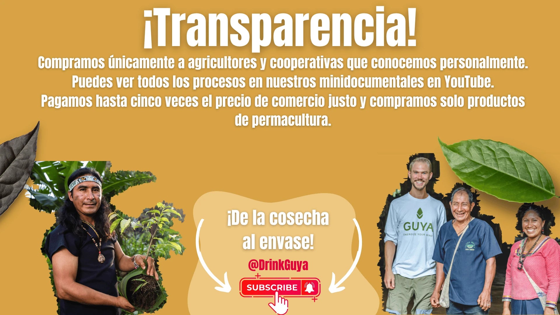 Transparencia GUYA: Nuestros agricultores, la permacultura y el camino de la cosecha al envase.