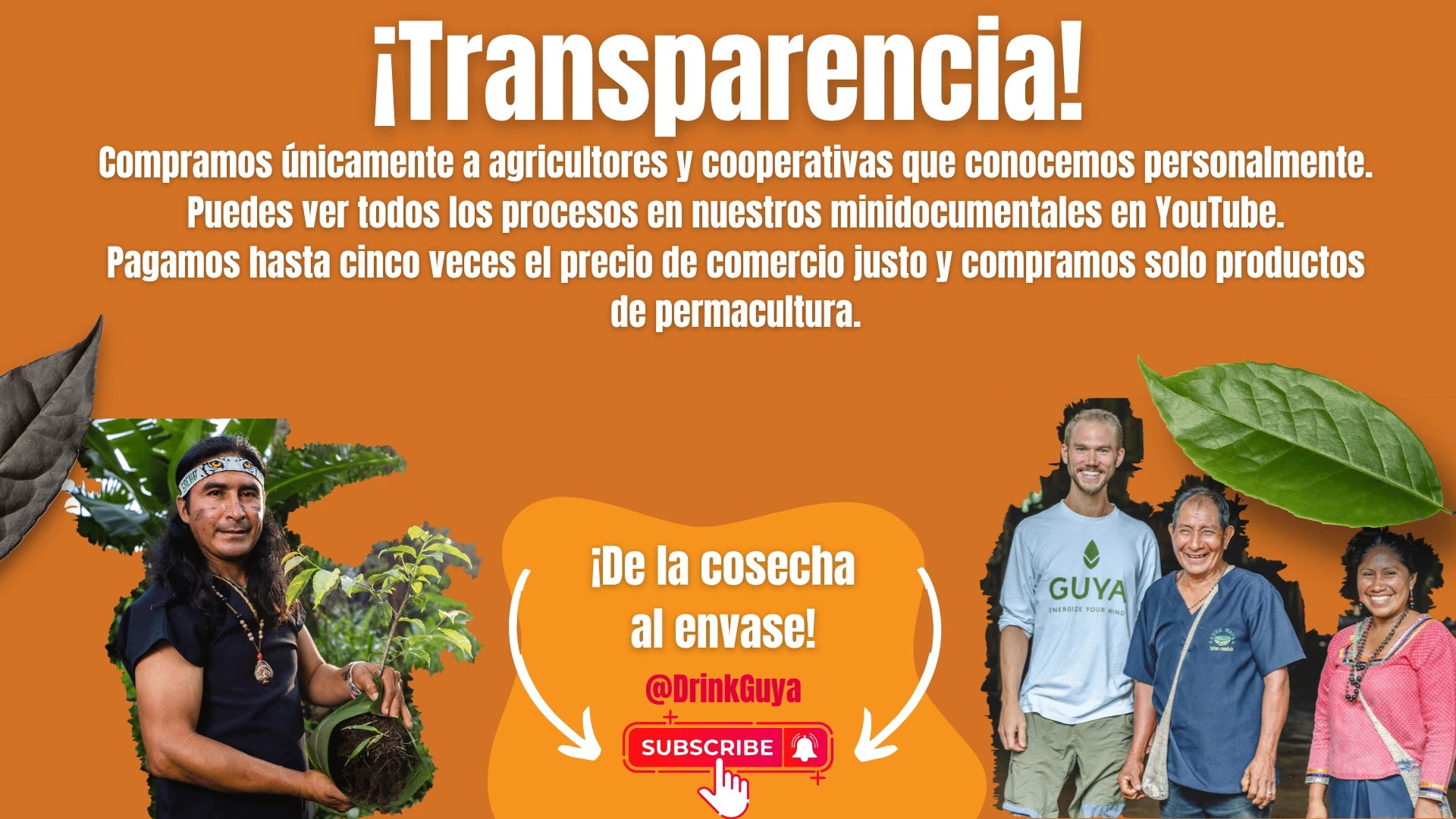 Transparencia GUYA: Nuestros agricultores, la permacultura y el camino de la cosecha al envase.