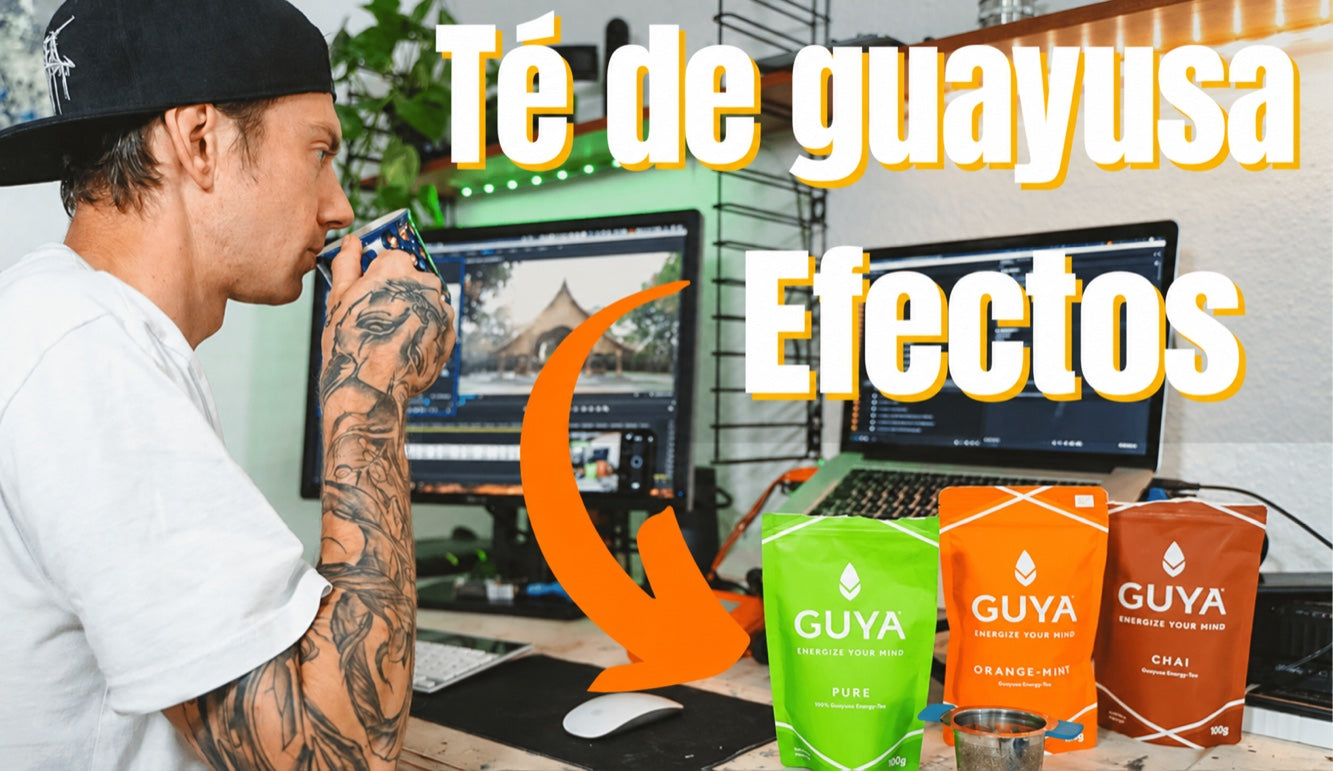 Té de guayusa: efectos y todo lo que conviene saber