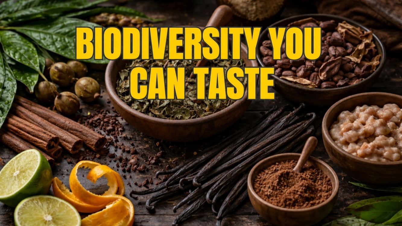 Biodiversity you can taste: how traditional ingredients are reshaping functional nutrition